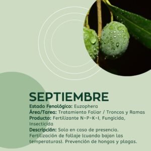 calendario fitosanitario para el olivar septiembre