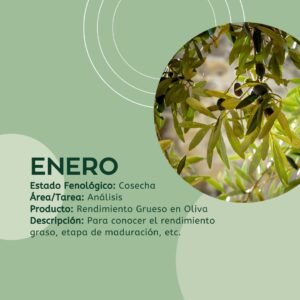 calendario fitosanitario para el olivar enero