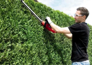 Einhell cortasetos eléctrico con cable caractersiticas