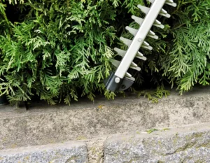 Einhell cortasetos eléctrico con cable caractersiticas_2