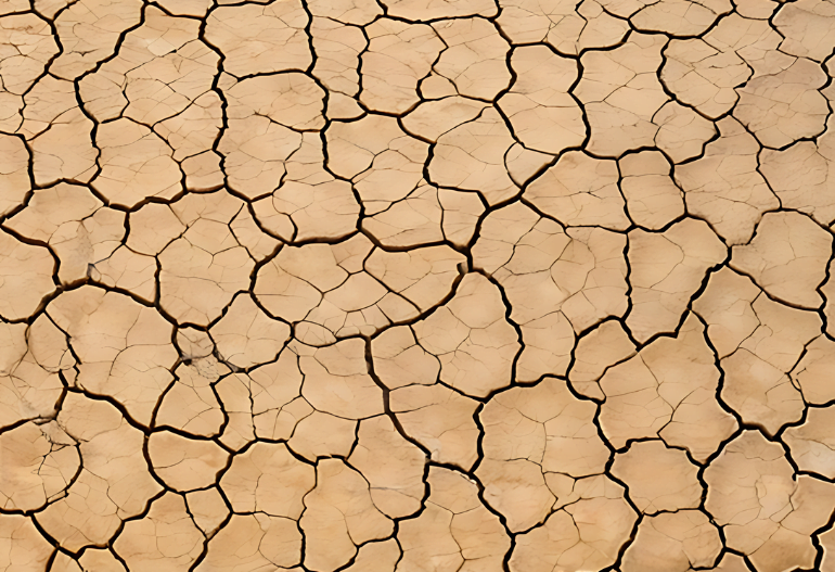 cómo mejorar un suelo arcilloso