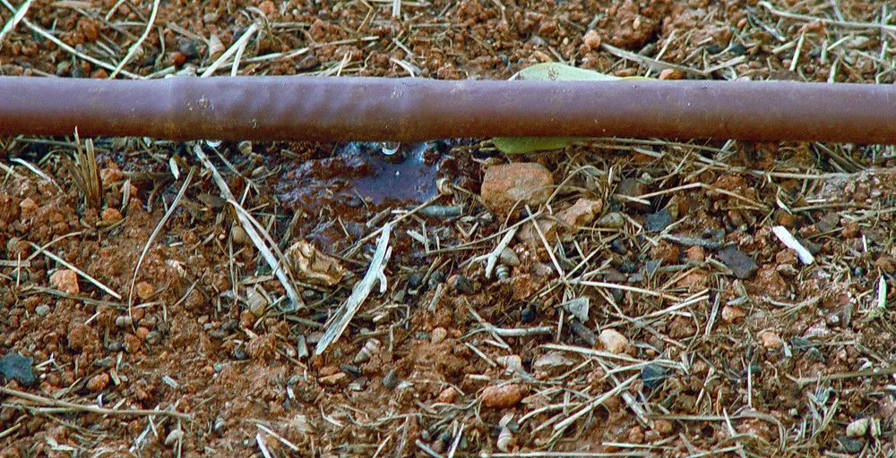 Limpiar los goteros de riego con ácido nítrico